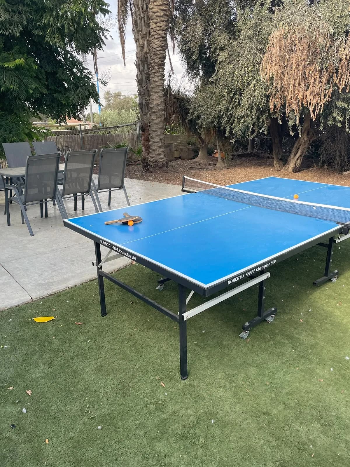 משחקי שולחן באחוזת אלפא אלפא להמחשת פעילות משפחתית